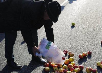 تجارت سیب لهستان بعد از سه سال بهبود نیافت
