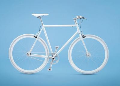 این دوچرخه سوارن حرفه ای؛ گزارش خبرنگاران از دوچرخه دوست ترین شهرها