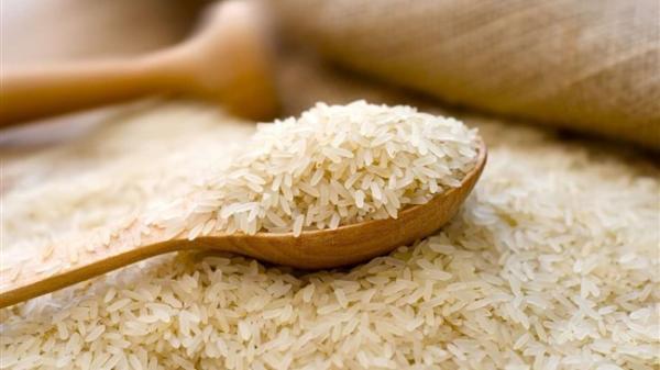 مصوبه ای برای آزادسازی ثبت سفارش برنج وجود ندارد